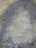 image of grave number 256318